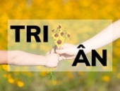 Đảng ủy, Ubnd xã Hồ Tràm tri ân và biểu dương đoàn bác sĩ tăng cường đợt I